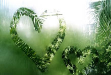 包含火箭队防线被打穿，状态低迷战绩不佳的词条